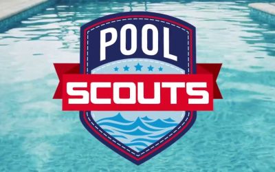 Franchise Opportunity – Pool Scouts Franchise End of Year Incentive…