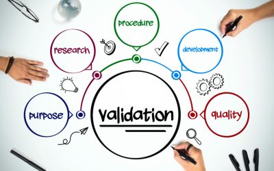 Important Questions to Ask a Franchise Owner During Validation…